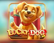 Lucky Dog PP